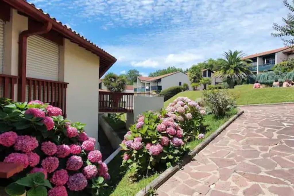 Apartament Caporizon-Baillenia-T1 Vue Montagne - Piscine St Jean De Luz Saint-Jean-de-Luz Zewnętrze zdjęcie